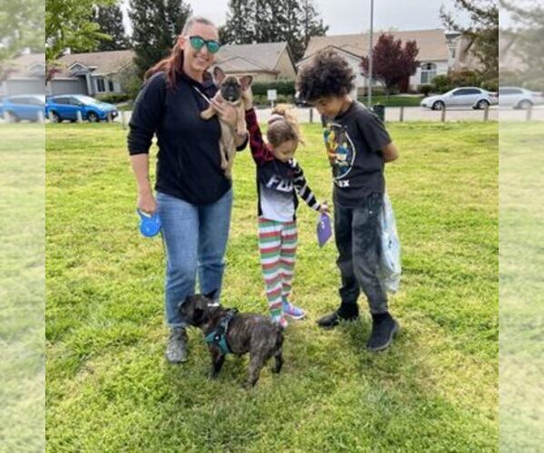 Medium Photo #9  Breeder Profile in SACRAMENTO, CA, USA