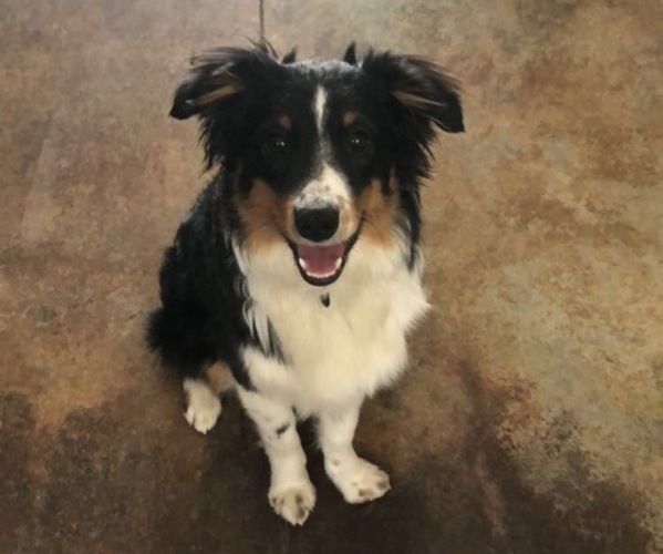 Medium Photo #1  Breeder Profile in GREELEY, CO, USA