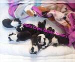 Small #6 Breeder Profile image