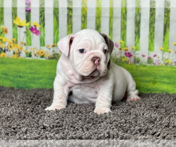 Medium Photo #1  Breeder Profile in TYLER, TX, USA