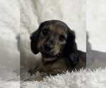 Small #8 Breeder Profile image