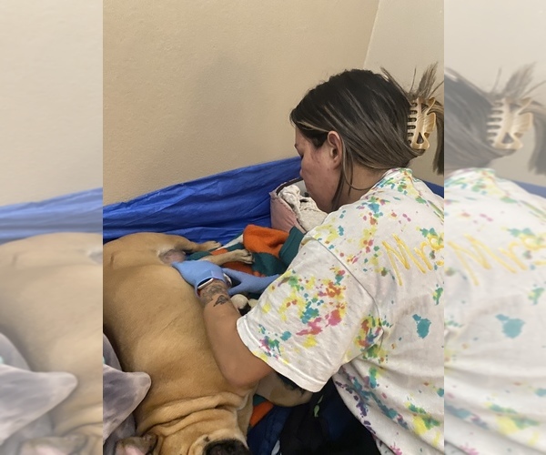 Medium Photo #1  Breeder Profile in MERCED, CA, USA