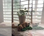 Small #40 Breeder Profile image