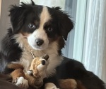 Small #15 Breeder Profile image