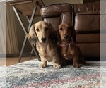 Small #12 Breeder Profile image