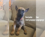 Small #6 Breeder Profile image