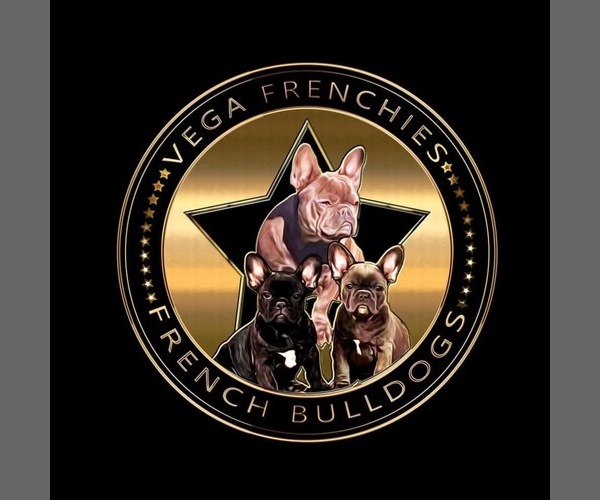 Medium Photo #1  Breeder Profile in PUYALLUP, WA, USA