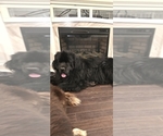 Small #56 Breeder Profile image