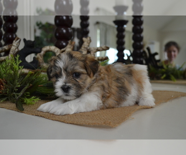 Medium Photo #9  Breeder Profile in GREENWOOD, WI, USA