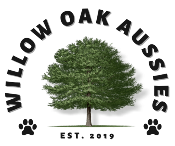 Medium Photo #1  Breeder Profile in HIGDON, AL, USA