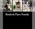 Small #20 Breeder Profile image