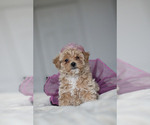 Small #9 Breeder Profile image
