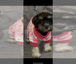 Small #7 Breeder Profile image