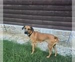 Small #8 Breeder Profile image