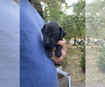 Small #5 Breeder Profile image