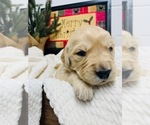 Small Photo #12  Breeder Profile in FRENCHTOWN, MT, USA