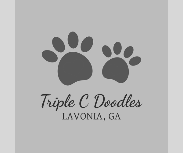 Medium Photo #1  Breeder Profile in LAVONIA, GA, USA
