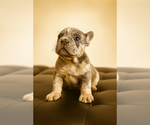 Small #15 Breeder Profile image
