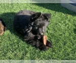 Small #148 Breeder Profile image