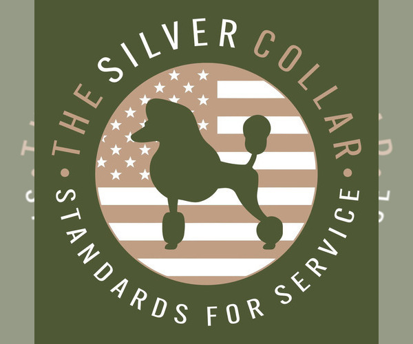 Medium Photo #1  Breeder Profile in BOONVILLE, NC, USA