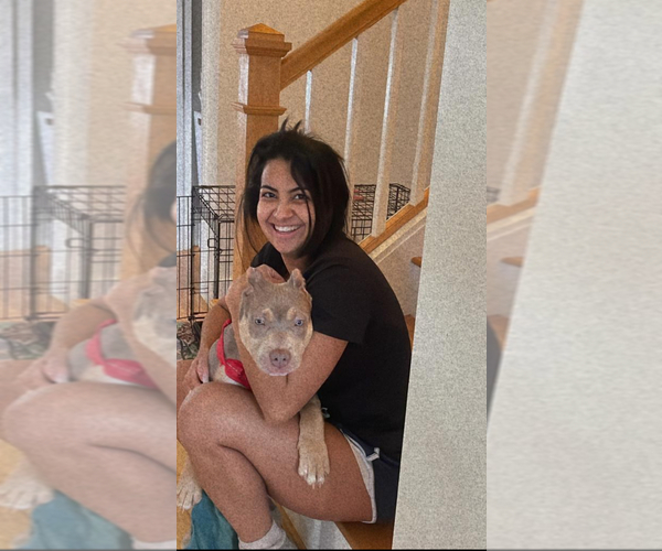Medium Photo #1  Breeder Profile in BROCKTON, MA, USA