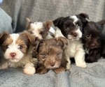 Small #5 Breeder Profile image