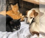 Small #11 Breeder Profile image
