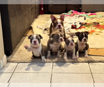 Small #1 Breeder Profile image