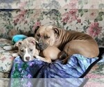 Small #5 Breeder Profile image