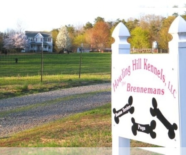 Medium Photo #1  Breeder Profile in CATLETT, VA, USA
