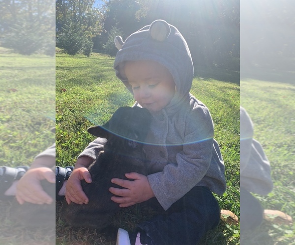 Medium Photo #1  Breeder Profile in INMAN, SC, USA