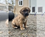 Small #1 Breeder Profile image