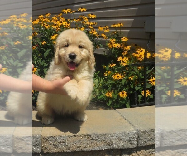 Medium Photo #34  Breeder Profile in MECHANICSVILLE, MD, USA