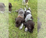Small #25 Breeder Profile image