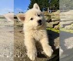 Small #1 Breeder Profile image
