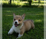 Small #4 Breeder Profile image