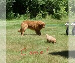 Small #5 Breeder Profile image