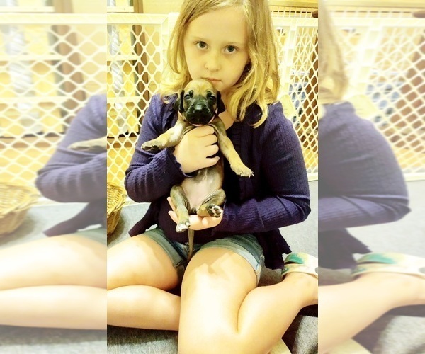 Medium Photo #16  Breeder Profile in ALBA, TX, USA