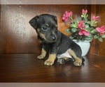 Small #27 Breeder Profile image