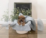 Small #14 Breeder Profile image