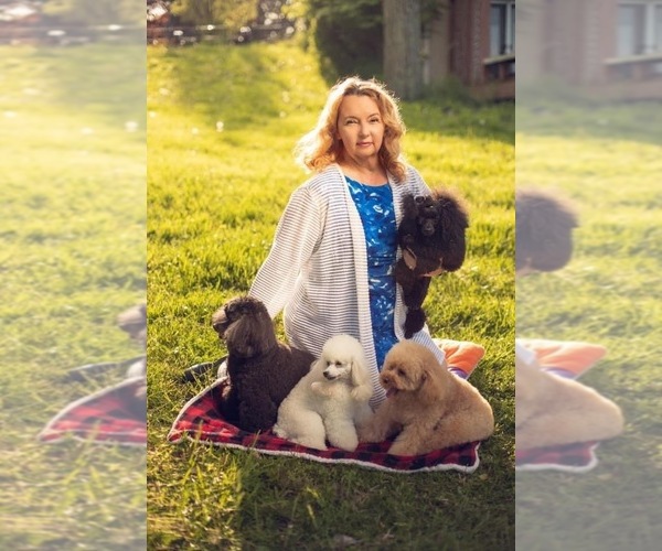 Medium Photo #1  Breeder Profile in DAMASCUS, MD, USA