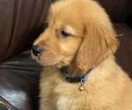 Small breeder photo