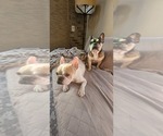 Small #47 Breeder Profile image