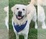 Small #25 Breeder Profile image
