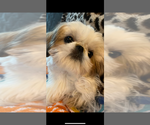 Small #4 Breeder Profile image