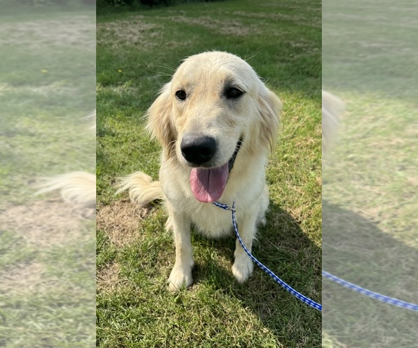 Medium Photo #10  Breeder Profile in MERRILL, MI, USA