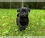Small breeder photo