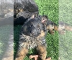 Small #149 Breeder Profile image