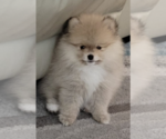 Small #6 Breeder Profile image