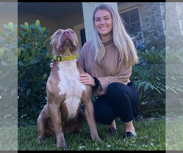 Medium Photo #1  Breeder Profile in STUART, FL, USA